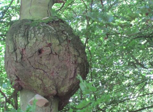 Man kommt dicht vorbei an Normalitäten und Besonderheiten, die man sonst nur von Ferne und aus anderem Winkel sieht.