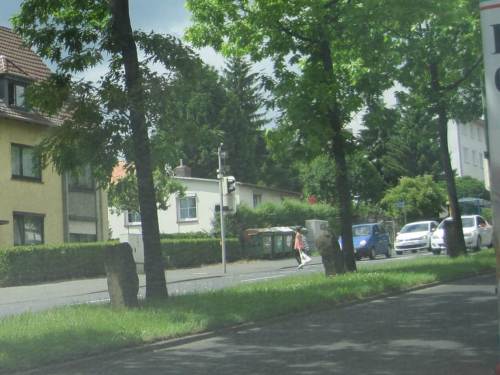 Gerade noch im Fernsehen gesehen, und nun live: Beuys-Steine und -bäume in KS.