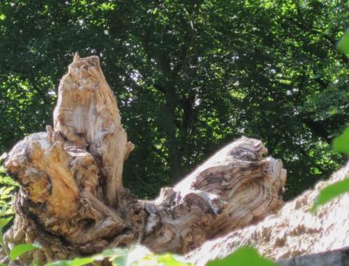 Und noch so ein Beispiel.