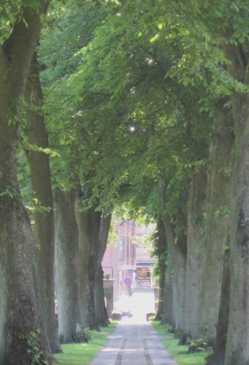 Durch diese schicke Allee geht`s nochmal in die Stadt.