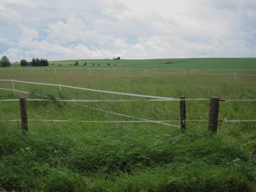 (Schn)Ödes Grün auf der anderen Wegseite. Jagende Wolken zeigen den unstabilen Wetterzustand.