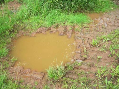 Treckerspur in Lehmpfütze - hier hat es vor Kurzem noch ganz ordentlich geregnet.
