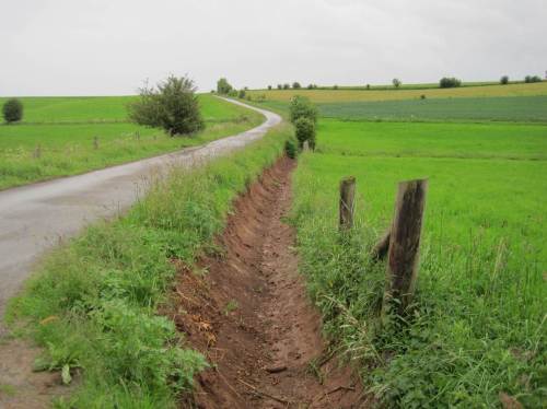 Und statt in in die Aue einzubinden, um das Wasser zu halten, zieht er direkt zur Marbeck - Lehmlieferant und Umweltzerstörer. - Liebe Leute, nix gelernt?!