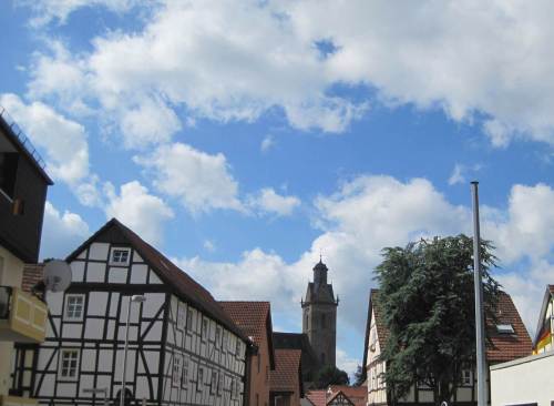 Auf geht`s zum Waldbegang, das Wetter ist optimal.