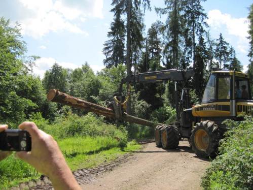 Der Fachmann auf der Maschine dirigiert den Baum zum Schnitt- und Zwischenlagerungsort.