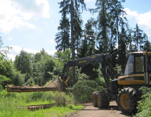 Passgerechte Stücklängen werden gesägt.