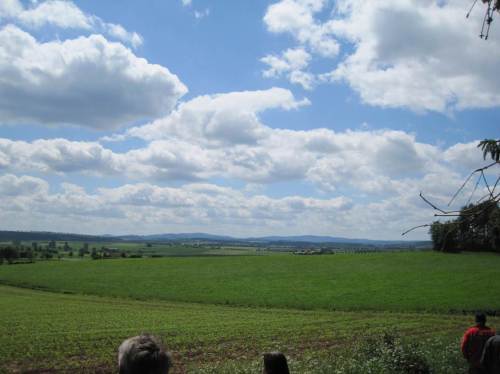 Am Waldrand öffnet sich die Exzessiv-Agrarindustrielandschaft, hinten die Ederberge.