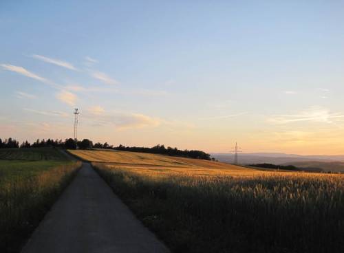 Prompt bin ich am Ankunftsabend auf den Herrenberg gewandert, einen schicken Aussichtspunkt -  belohnt von golden beschienenem Korn und Blick auf die Ederberge.