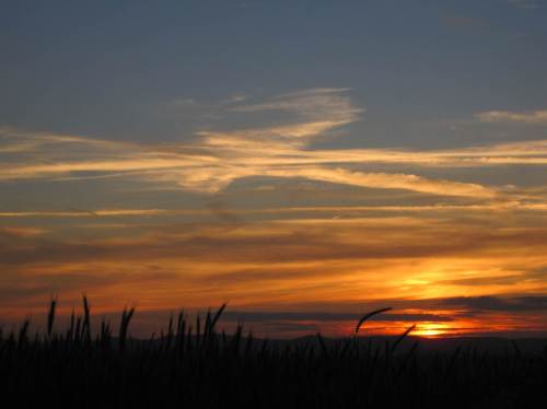 So, es wird Zeit zu gehen.