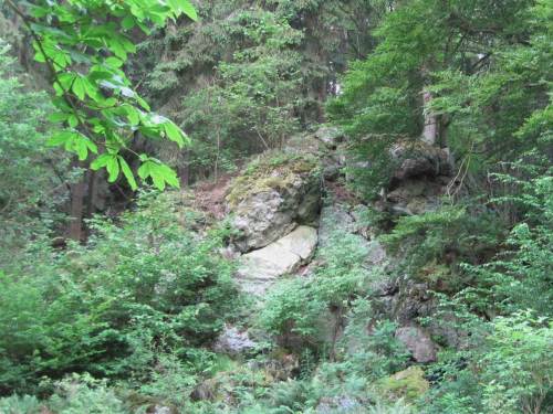Die Wichtelsteine bei Frankenau, Konglomerat-Gesteinsformation im Mischwald verborgen.