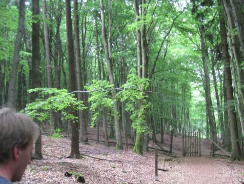 Noch ist das ehemalige Wildgatter nicht überall abgebaut.