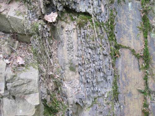 Interessant kleinräumig wechselnde Steinstrukturen.