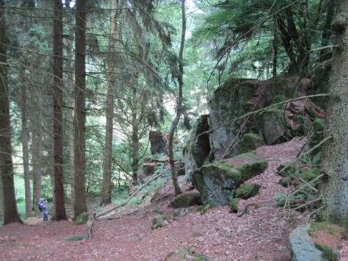 Das Foto nach Kraxelei zeigt den Höhenunterschied an den Wichtelsteinen.