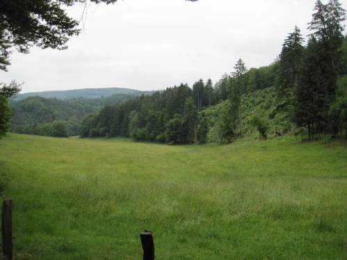 Hängiges Wiesental eines anderen kleinen Nebenbachs.