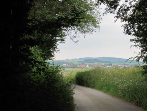 Tunnelblick auf Frankenau: die abendliche Wanderung geht zu Ende.