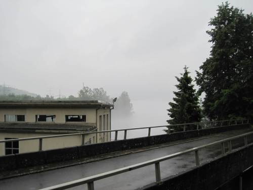 Realität am Fuß des Peterskopf - wir haben einen Regentag erwischt, nix zu sehen.