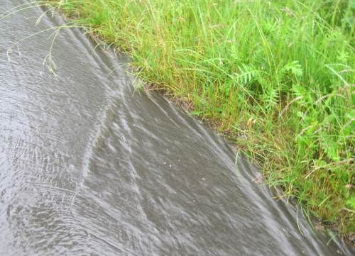 Es geht auch noch näher: Strömungsmuster zu studieren.