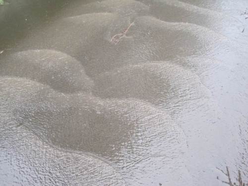 Muddy waters in Wellen.