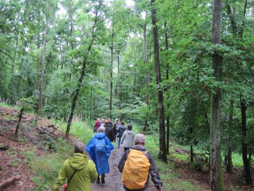 Also gehen wir zurück zu den Autos, Arbeit wartet in Frankenau.