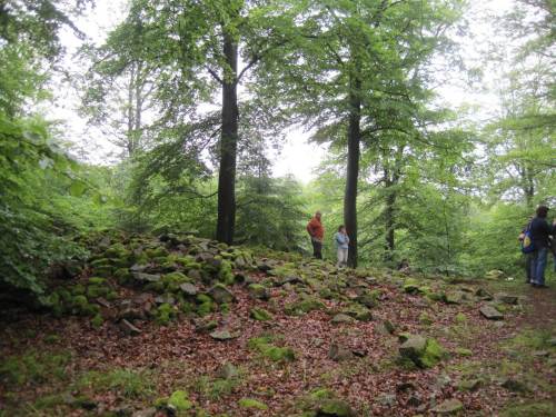 Wir rasten auf einer Steinschotteranhöhe - eine Grabstelle?