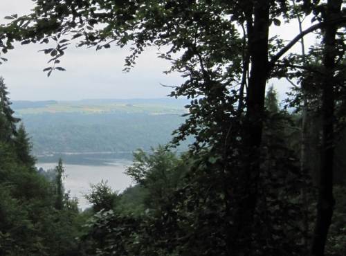 Tatsächlich, drüben in der Sonne übern See - Agrarlandschaft auf den Höhen.