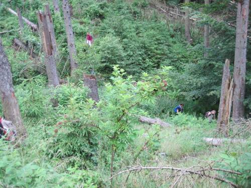 Abenteuerliches Gekracksel durch Tiefen wieder auf Höhen - ich habe mich der Teilgruppe angeschlossen, die einen besonderen Pfad wählte.