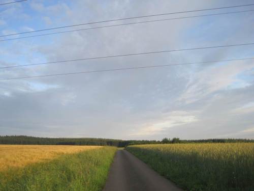 Auf dem abendlichen Weg.