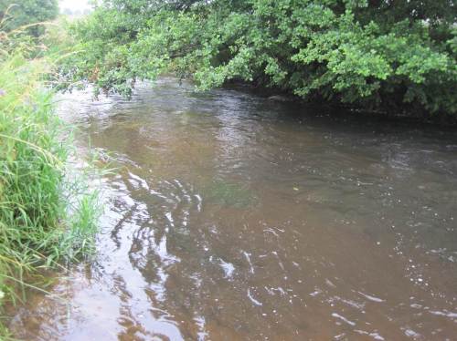 Wenige Wochen später - Uuuups, der Kies ist weg! - Eigentlich sollte die Seeve bei Hochwässern den Kies nach und nach abgraben, nun hat der Unterhaltungsverband nachgeholfen und ihn flächig verteilt. Auch gut.