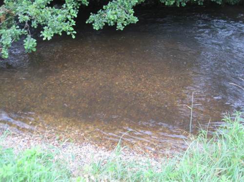 Kiesbank neu - da werden die Meerforellen ab Oktober/November begeistert sein, nächstes Frühjahr dann in der Reihenfolge Bach-, Fluss- und Meerneunaugen.