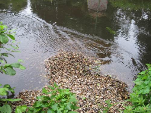Kleine Turbulenz-Impression eines Kies-Einbaus aus dem Frühjahr an anderer Stelle.