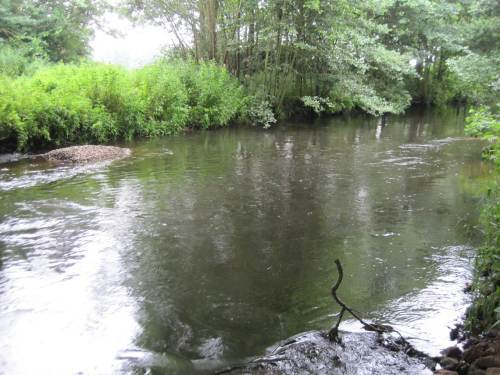 Der "jüngste Lkw", diesmal halbe-halbe an beiden Uferseiten eingebracht - Blick seeveaufwärts.