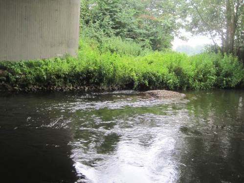 Strömungseindruck von halber Lkw-Ladung am rechten Seeve-Ufer.