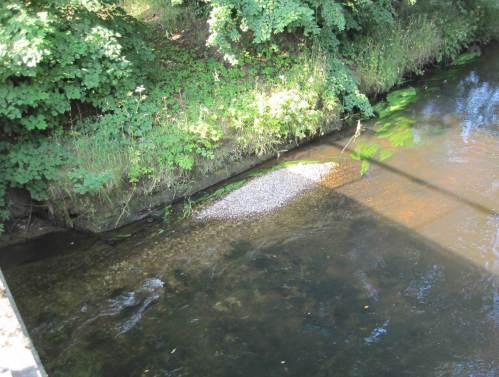 Vor einem alten Brückenfundament liegt ein halber Lkw Kies - gut zu sehen, wie die Seeve nach und nach das Material abtransportiert. Der Fluss weiss am Besten, wo die richtige Position ist.