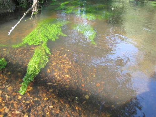 Dann wollen wir mal sehen, wann und wo die Bach-Restauriererei weiter geht.