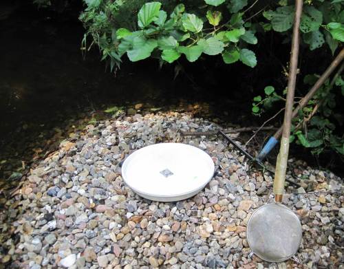 Haushaltssieb am Besenstiel, große weisse Blumenuntersetzer und eine Gartenharke, falls der Kieshaufen mal nicht gleich optimal liegt - mehr braucht`s nicht.