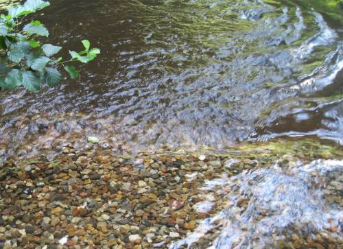 Lenkbuhnen-Detail flächige Kleinturbulenzen - hier ist hydraulisch das "Dach über dem Kopf" = das Versteck entstanden, das die Fische des Forellenbachs heutzutage fast überall vermissen.