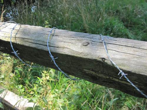 Hoppla, das ist zu viel des Guten - kein Willkommen trotz Begehungsrechts.