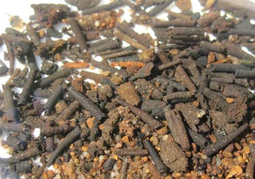 Zusammengetrieben - leere Köcherfliegengehäuse, aus Sand gebaut.