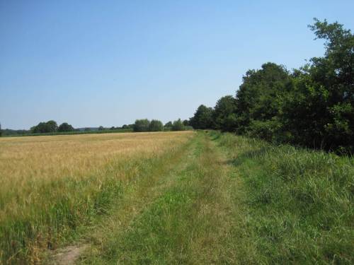 Auf zur letzten Beprobungsstelle - sehr gut: hier ist der gesetzlich vorgeschriebene, minimale 5 m-Randstreifen wieder hergestellt.