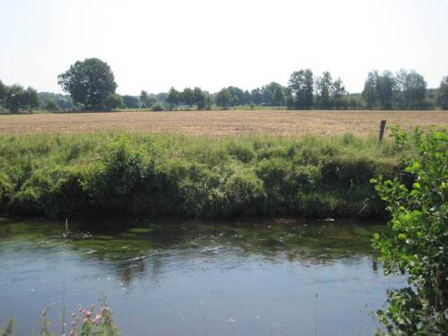 Hohes, nacktes Steilufer auf der anderen Seite, das Korn ist geerntet. Es wäre gut, an solchen Stellen ebenfalls Strukturvielfalt aus Stein oder Holz anzustoßen. - Wir werden sehen.