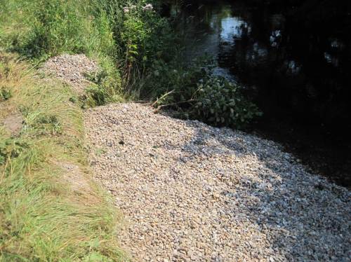 Jüngster Kies, leider in Erosionsloch des Ufers geschüttet - also wird er ins Gewässer profiliert.