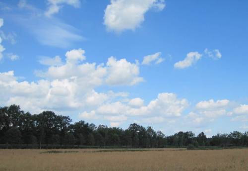 Kein Wunder - das ist mein Meerforellenwetter. - Warm, blauer Himmel, ein Bisschen Wind, weisse Wolken ziehen.