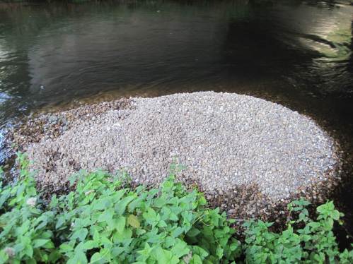 Da guckt noch ein halber 3-Achser Lkw Kies aus dem Wasser, NNW. - Wir haben Gartenharken dabei.