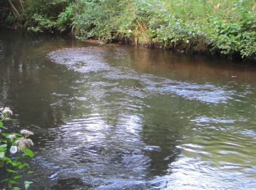 Wir nehmen uns die am anderen Ufer aufwärts liegende Lenkbuhne als gutes Beispiel.