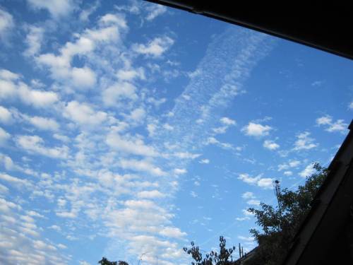 Morgendlicher Eindruck in Tostedt: das Reisewetter ist gut.