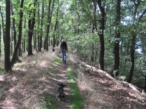 Das Umfeld ist aber auch zu verlockend! Kaum angekommen, mussten wir uns und den Kammweg testen.