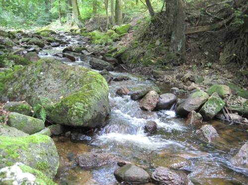 Bereits früh tauchen kleine Fälle auf. Wir nehmen uns vor, falls wir nicht bis zu den Ilse-Fällen kommen, diese als solche zu verkaufen.   :-)
