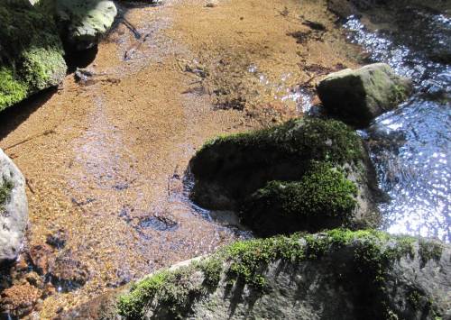 Leuchtender Grobsand / Feinkies, soll man hier Gold waschen?