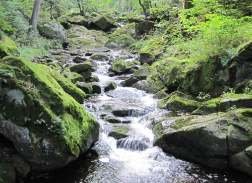 Da sind sie ja die Unteren Ilsefälle. Die darüber schenken wir uns und treten den Rückweg an. - Das Mittagessen ruft.