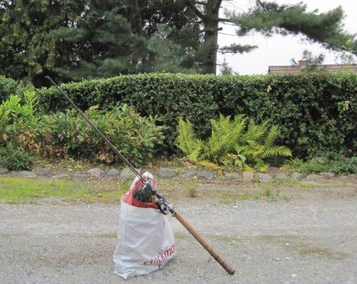 Die Angelutensilien sind gepackt. Jetzt muss nur noch der Chauffeur kommen.